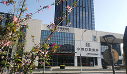 上海中博惠众口腔医院试营业